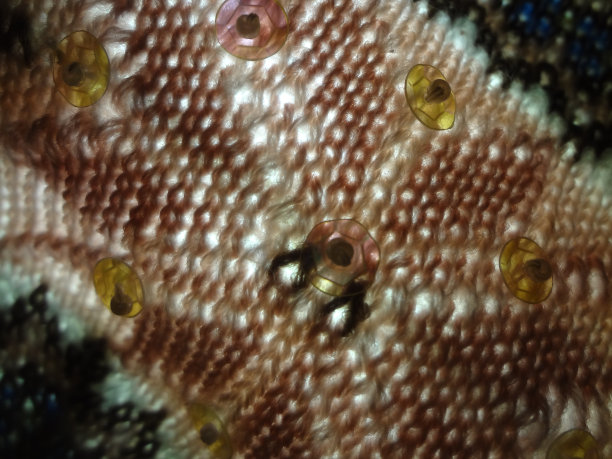 金色照耀抽象纹理现代散焦模糊漩涡图案背景图片下载