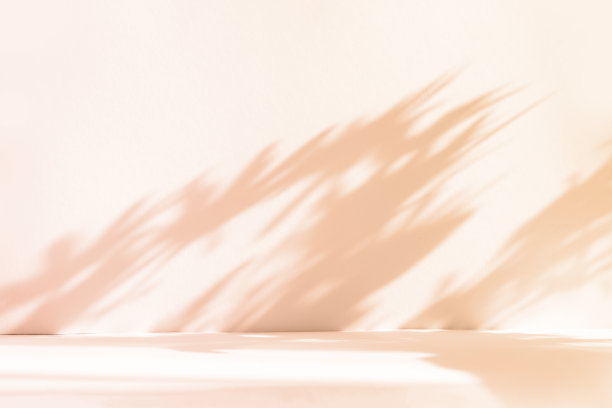 抽象的粉红色工作室背景用于产品展示。空无一人的房间里有窗户、花朵和棕榈叶的影子。带有拷贝空间的3d房间。夏季音乐会。模糊的背景。图片下载