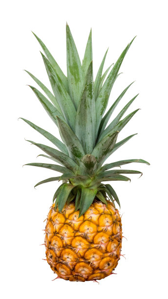 菠萝果孤立包括路径图片下载