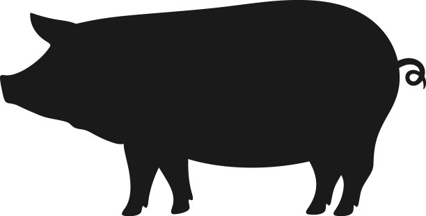 猪图片下载