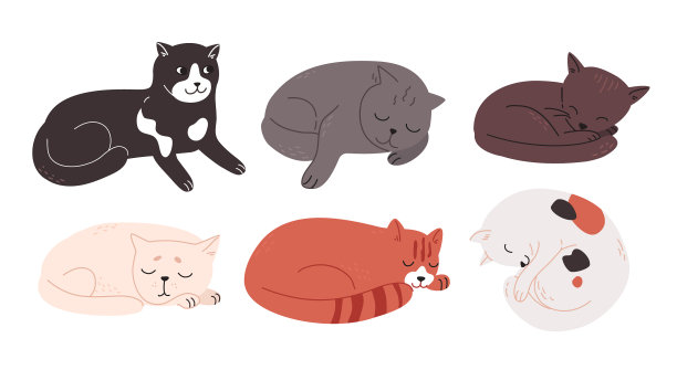 不同品种的多色猫躺着休息图片下载