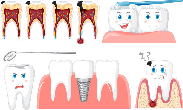 所有类型的牙齿在白色的背景图片下载