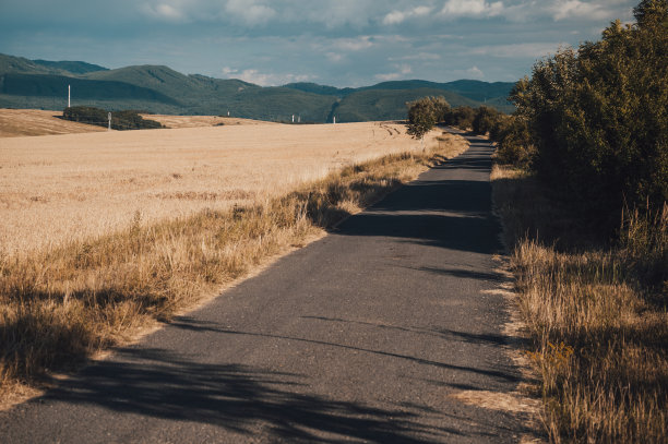 乡间小路穿过乡村草地。金色的麦田在夏日的阳光下朝阳升起。自然的照片，复古的颜色图片下载