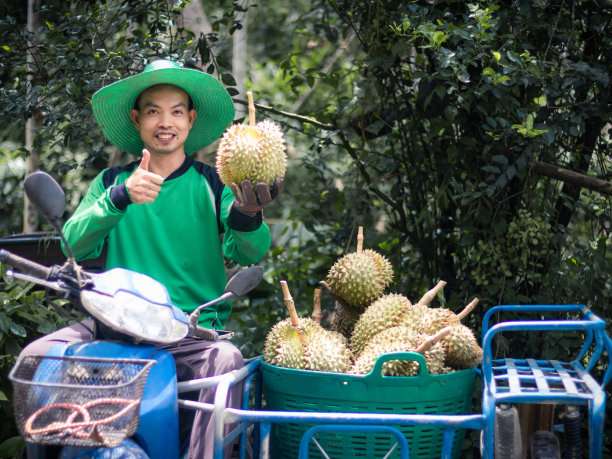 亚洲农民。图片下载