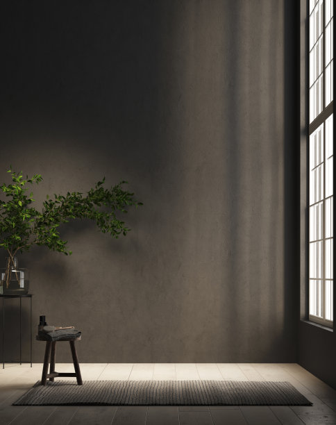 昏暗的光线透过窗户进入一片空旷的空间。图片下载
