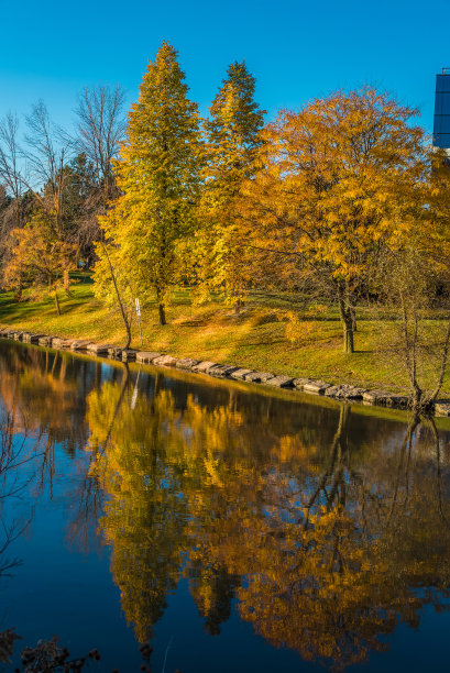 反映在池塘图片下载