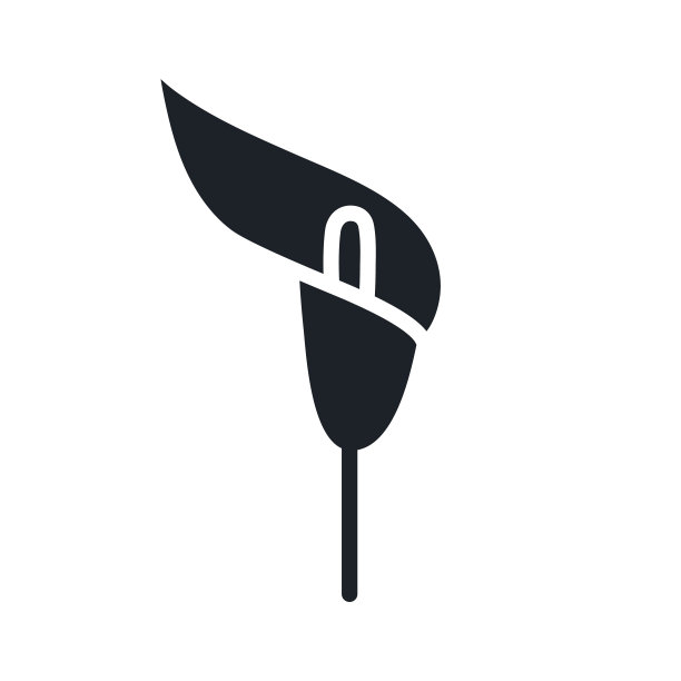 马蹄莲图标婚礼花孤立图片下载