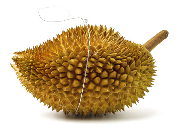 榴莲果图片下载