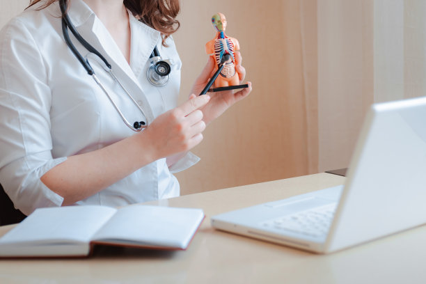 医生手部特写人体器官解剖模型笔记本电脑在线医生会诊。图片下载