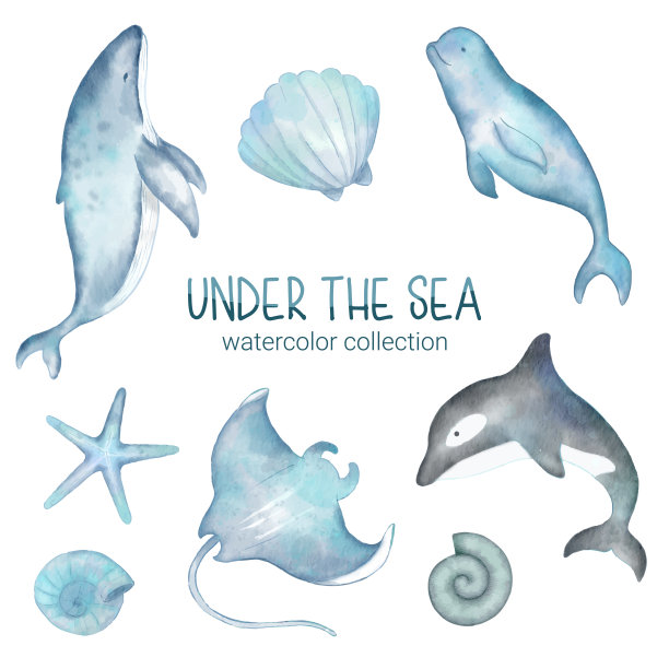 海洋生物可爱的元素动物生活在海底。水下动物、生物和鱼类图片下载