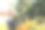 一个夏天，穿着格子衬衫的金发少女在一个黄色的盒子里从树上摘苹果。夏收概念。图片下载