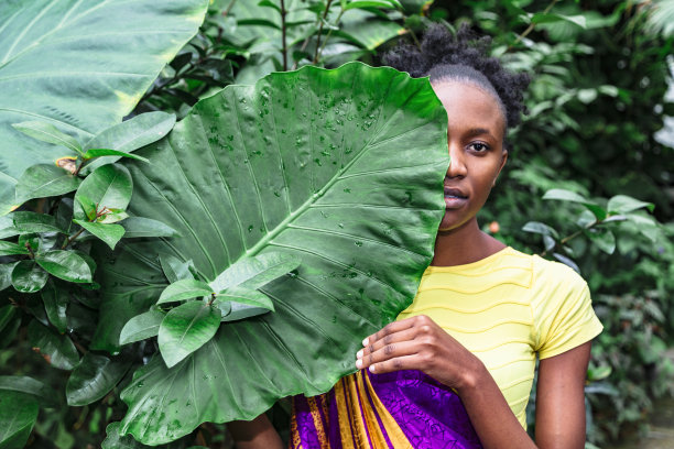 在热带丛林中，年轻的非洲妇女穿着五颜六色的传统服装，用新鲜的大绿色棕榈叶覆盖她的半张脸图片下载