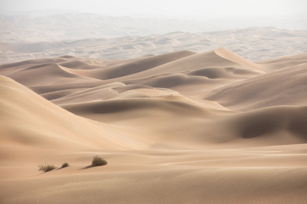 日出时分的沙漠景观图片下载