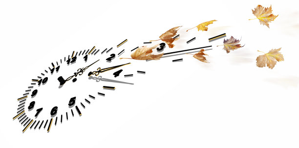 秋钟断叶梧桐树叶在风中孤立为秋的背景图片下载