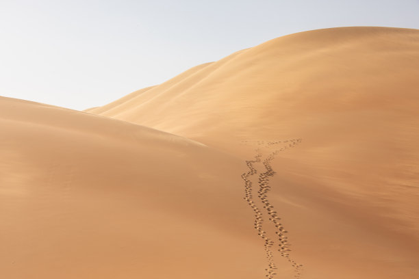 日出时分的沙漠景观图片下载