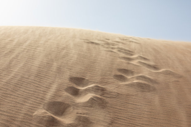 日出时分的沙漠景观图片下载