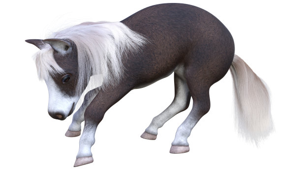 3D渲染白色小马图片下载