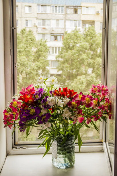 一束粉红色的桤木花图片下载