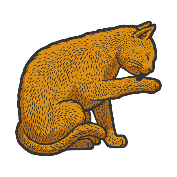 猫美容线艺术彩色素描图片下载