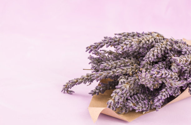 家里做了一袋香喷喷的薰衣草花图片下载