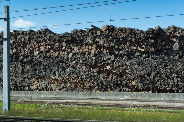 大堆叠桩原木铁路轨道的概念图片下载