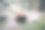 一只大棕熊在国家公园的森林里散步的照片。特写野生大棕熊，大角熊，雄性正盯着镜头。野生动物,欧洲针叶林图片下载