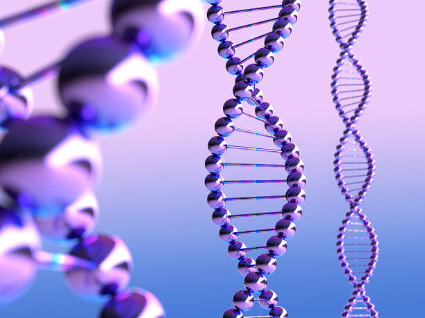 DNA双螺旋结构的3D插图图片下载