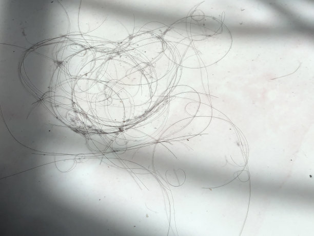 头发掉在地板上的照片图片下载