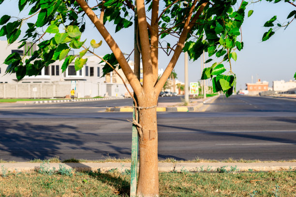 城市公路图片下载
