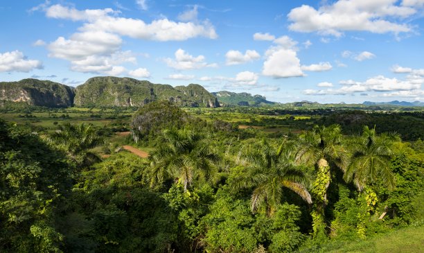 古巴Viñales谷的景观图片下载