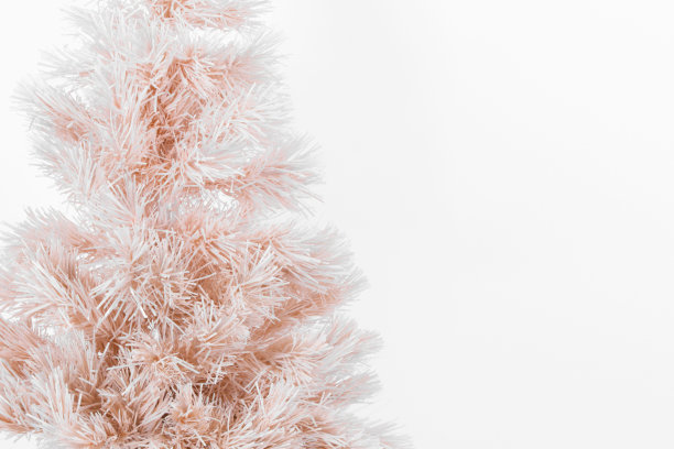 圣诞树与白霜隔离在白色背景。平铺，俯视图，拷贝空间。新年快乐销售卡和圣诞圣诞概念明信片。粉彩粉色冬季树装饰图片下载