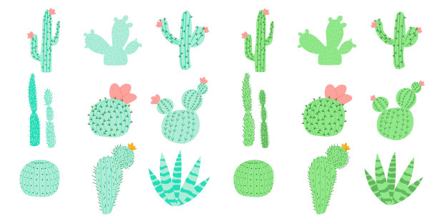 集合矢量插图与扁平仙人掌两种颜色的选择。仙人掌花。图片下载