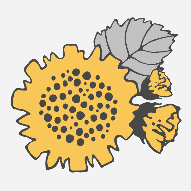 风格化的向日葵矢量图：花、芽和叶图片下载