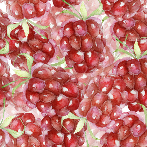 覆盆子背景水彩无缝图案图片下载