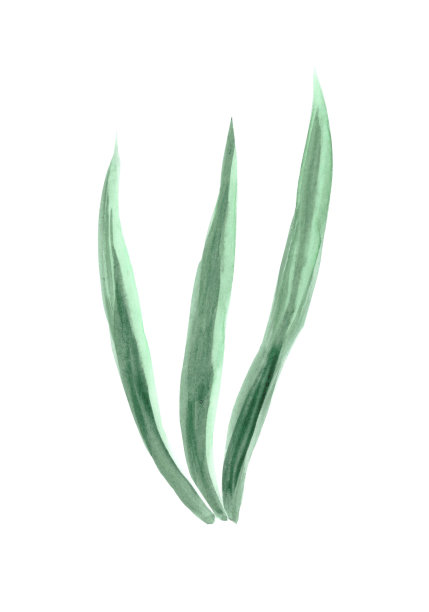 草木组成深绿色图片下载