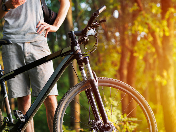 骑自行车穿越森林，夏日生活和休闲图片下载
