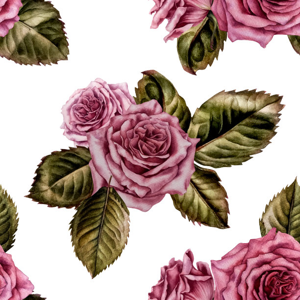 粉红色玫瑰无缝图案图片下载