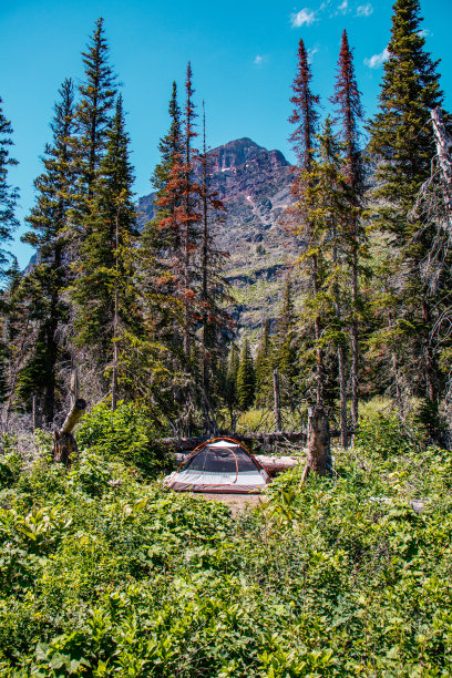 山帐篷草地图片下载