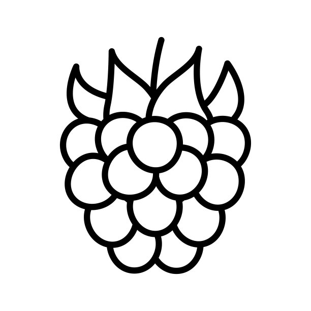 覆盆子图标。孤立在白色背景上的象形文字。图片下载