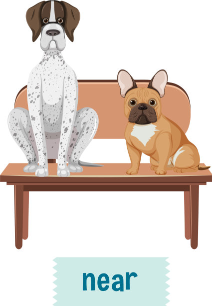 狗在椅子上的介词卡片设计图片下载