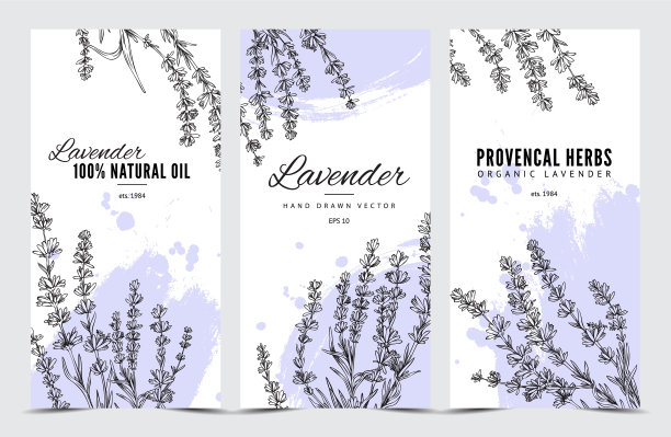 薰衣草香草和芳香油横幅设置图片下载