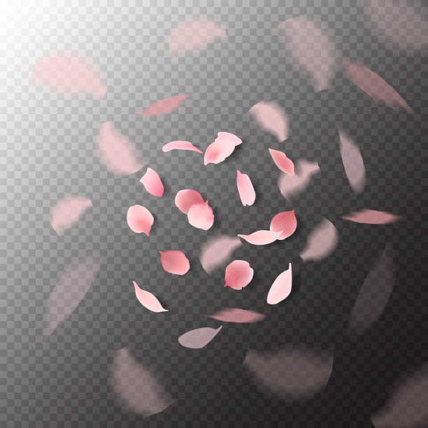 樱花花瓣飘落透明图片下载