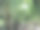 热带棕榈叶背景，特写椰子棕榈树图片下载