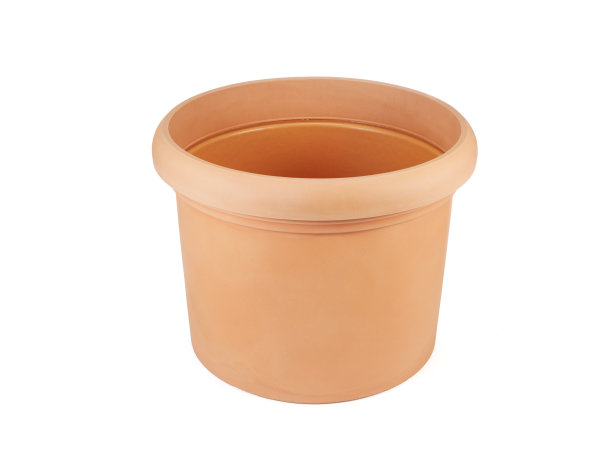 花瓶上的白色图片下载