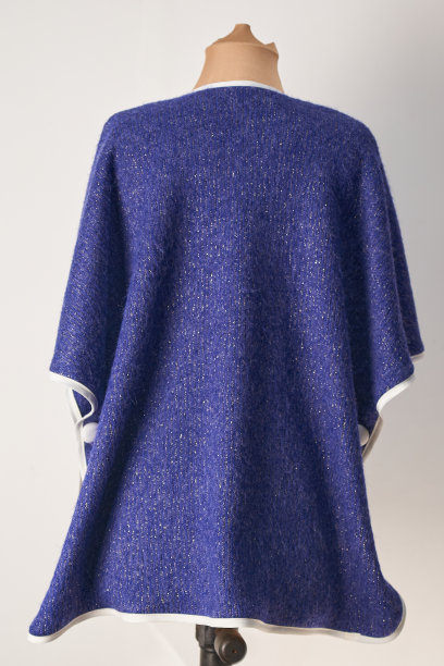 后视图蓝色pocho在羊毛。妇女的正式的服装。图片下载