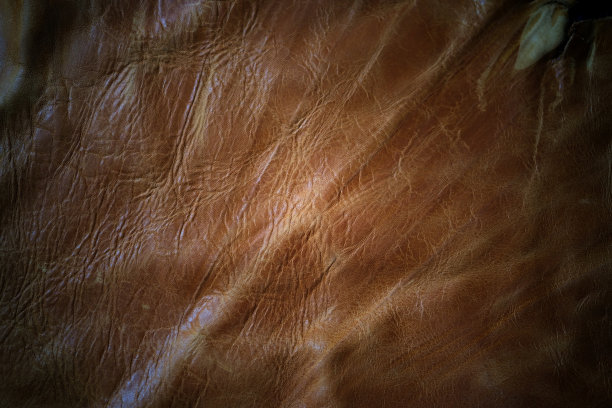 真皮纹理背景图片下载