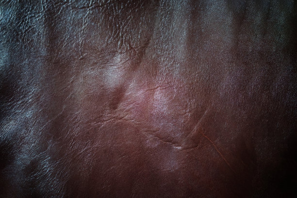 真皮纹理背景图片下载