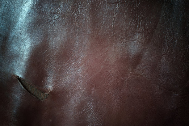 真皮纹理背景图片下载