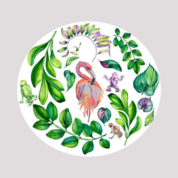 热带树叶圈框，火烈鸟，青蛙水彩插图孤立图片下载