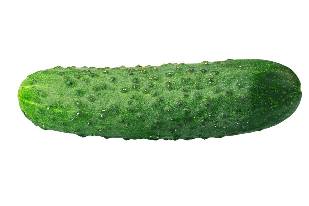 孤立的黄瓜。新鲜有机黄瓜孤立在白色背景。黄瓜微距摄影工作室照片。图片下载